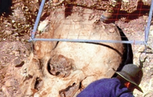 Giant skull detail shows doctoring