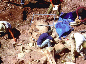 Doctored photo purporting to show archaeologists discovering skeletons of giants.