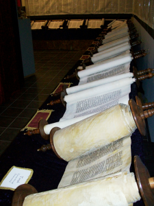 Set of scrolls of entire Tanakh